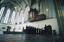 Unlimited zijkant 2 verkleind.JPG  